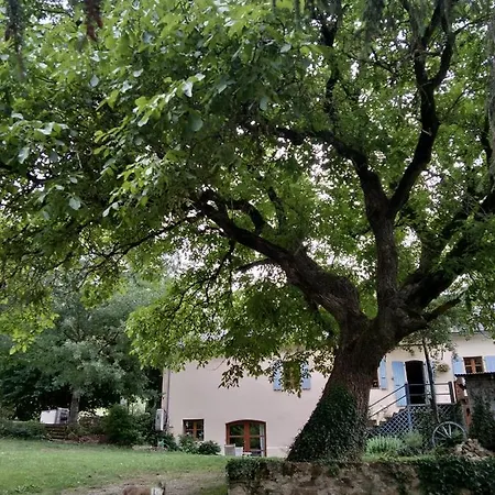 Combecave Bed and Breakfast Vabre-Tizac