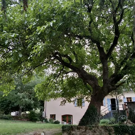 Combecave Bed & Breakfast Vabre-Tizac